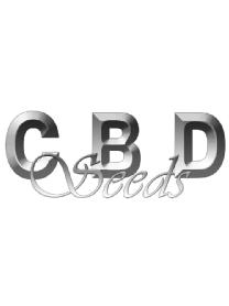 CBD SEEDS