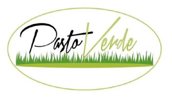 PASTO VERDE