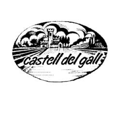 CASTELL DEL GALL