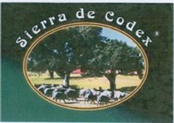 SIERRA DE CODEX