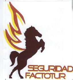 SEGURIDAD FACTOTUR
