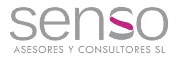 SENSO ASESORES Y CONSULTORES SL