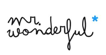 MR. WONDERFUL*