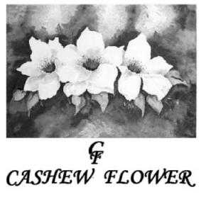 CF CASHEW FLOWER