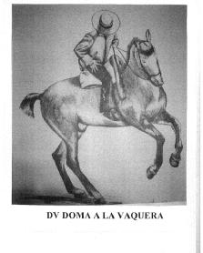 DV DOMA A LA VAQUERA