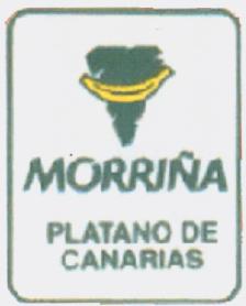 MORRIÑA PLATANO DE CANARIAS