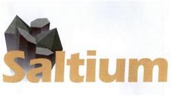 SALTIUM