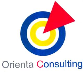 ORIENTA CONSULTING