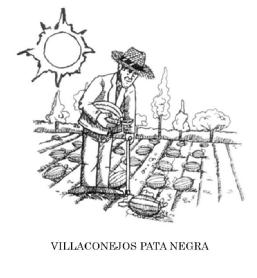 VILLACONEJOS PATA NEGRA