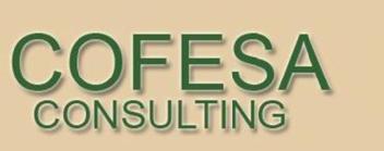 COFESA CONSULTING
