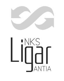 LINKS GARANTIA