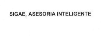 SIGAE, ASESORIA INTELIGENTE