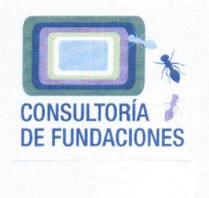 CONSULTORIA DE FUNDACIONES