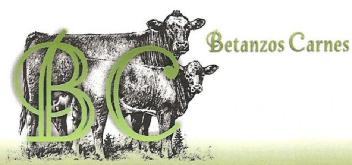BC BETANZOS CARNES