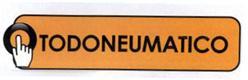 TODONEUMATICO