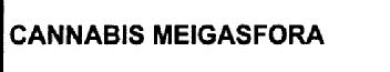 CANNABIS MEIGASFORA
