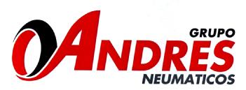 GRUPO ANDRES NEUMATICOS