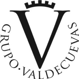 V GRUPO VALDECUEVAS