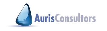AURIS CONSULTORS