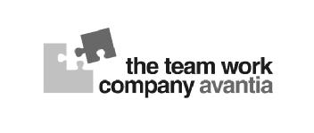 THE TEAM WORK COMPANY AVANTIA