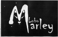 LOBO MARLEY