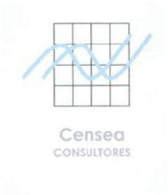 CENSEA CONSULTORES