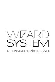 WIZARD SYSTEM RECONSTRUCTOR INTENSIVO