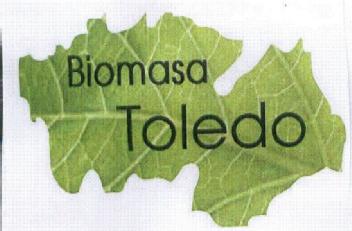 BIOMASA TOLEDO