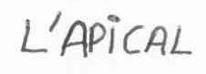 L'APICAL