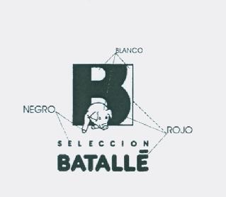 SELECCION BATALLE
