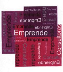 EMPRENDE CONSULTORAS