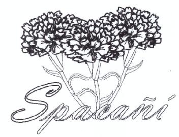 SPACAÑI