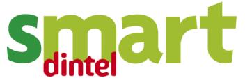 SMART DINTEL