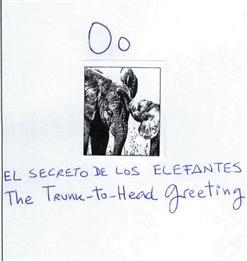 EL SECRETO DE LOS ELEFANTES THE TRUNK-TO-HEAD GREETING