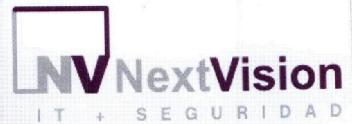 NV NEXTVISION IT+SEGURIDAD