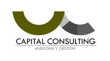 CAPITAL CONSULTING AUDITORIA Y GESTION