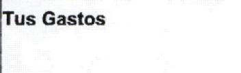 TUS GASTOS