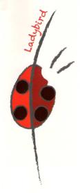 LADYBIRD