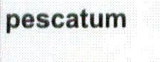 PESCATUM