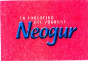 LA EVOLUCION DEL YOGURT NEOGUR