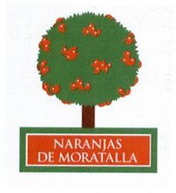 NARANJAS DE MORATALLA