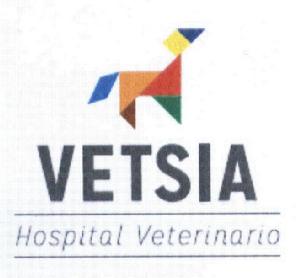 VETSIA HOSPITAL VETERINARIO