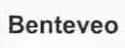 BENTEVEO
