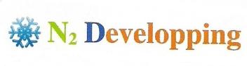 N2 DEVELOPPING