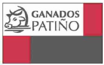 GANADOS PATIÑO