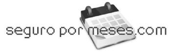 SEGURO POR MESES.COM