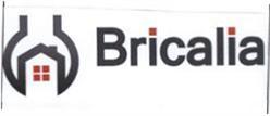BRICALIA