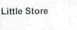 LITTLE STORE