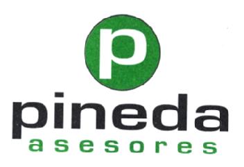 P PINEDA ASESORES