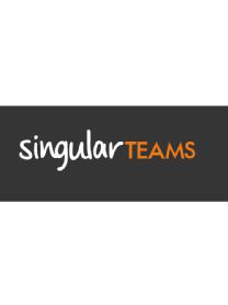 SINGULARTEAMS